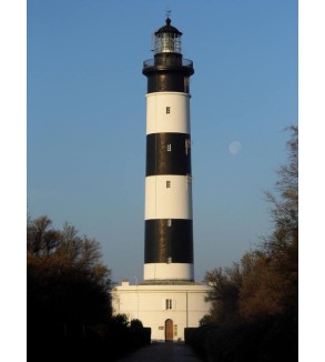 T-shirt - Phare de Chassiron